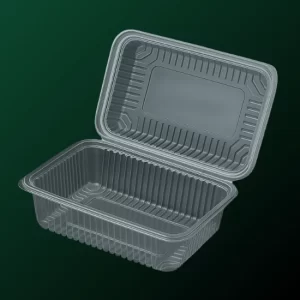Food Container 1_converted